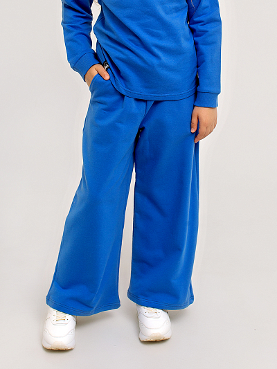 Брюки "Стиляга" Тёмно-Голубой арт. дк331тг